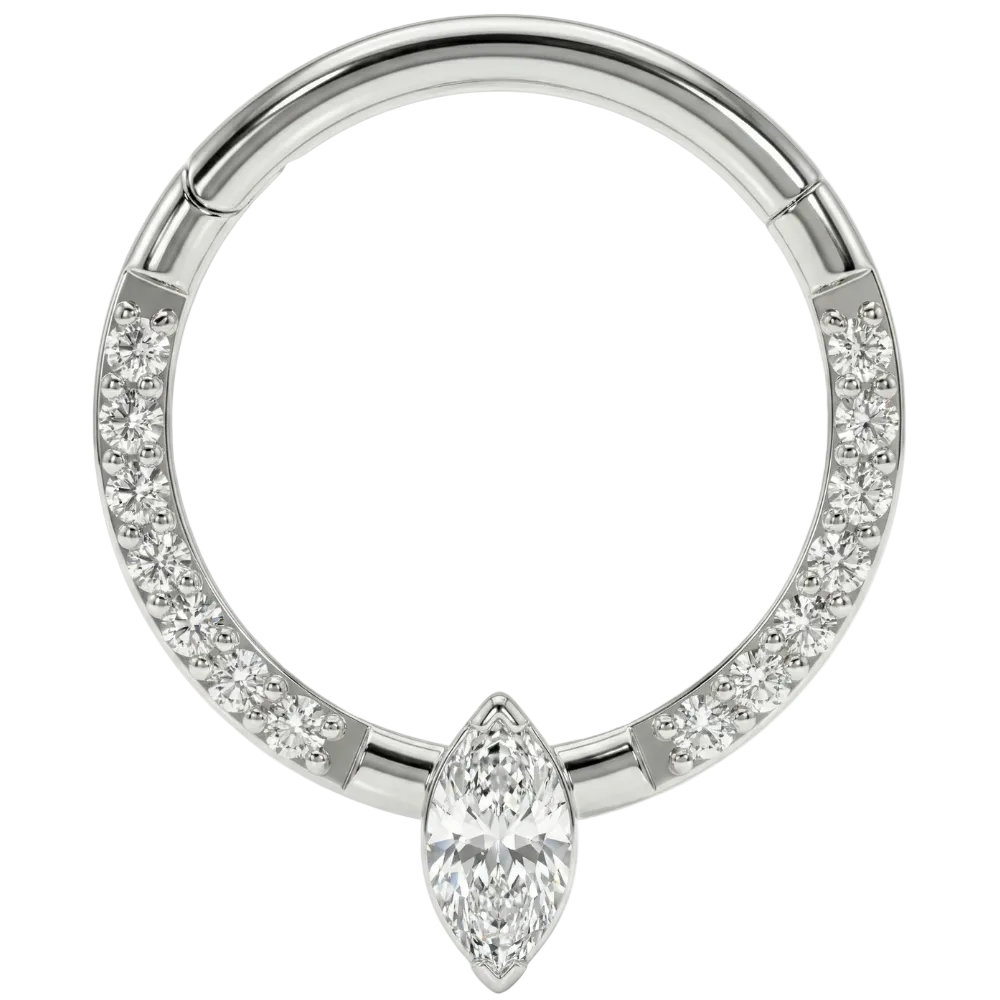 Titanium Segmented Clicker With Zircons and Diamonds - Circle - Piercing Planet