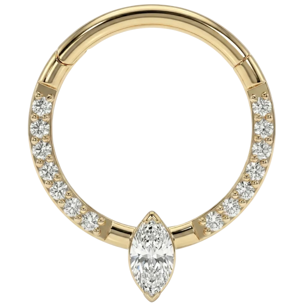 Titanium Segmented Clicker With Zircons and Diamonds - Circle - Piercing Planet