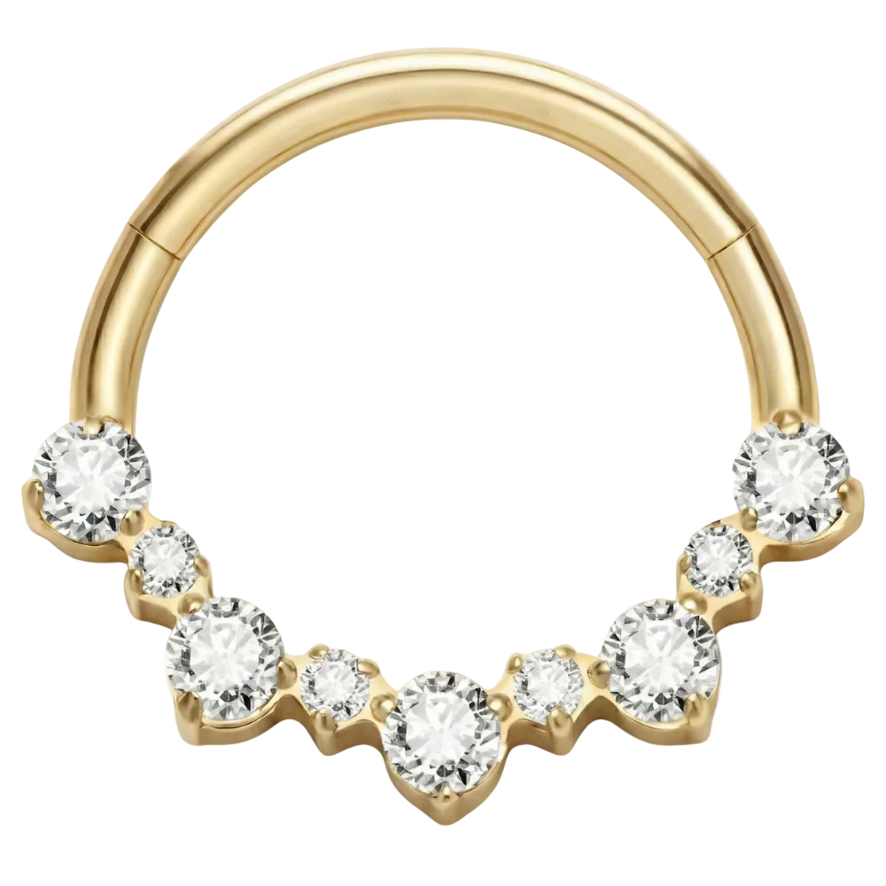 Titanový segmentový kliker se zirkony a diamanty - luk - piercing Planet