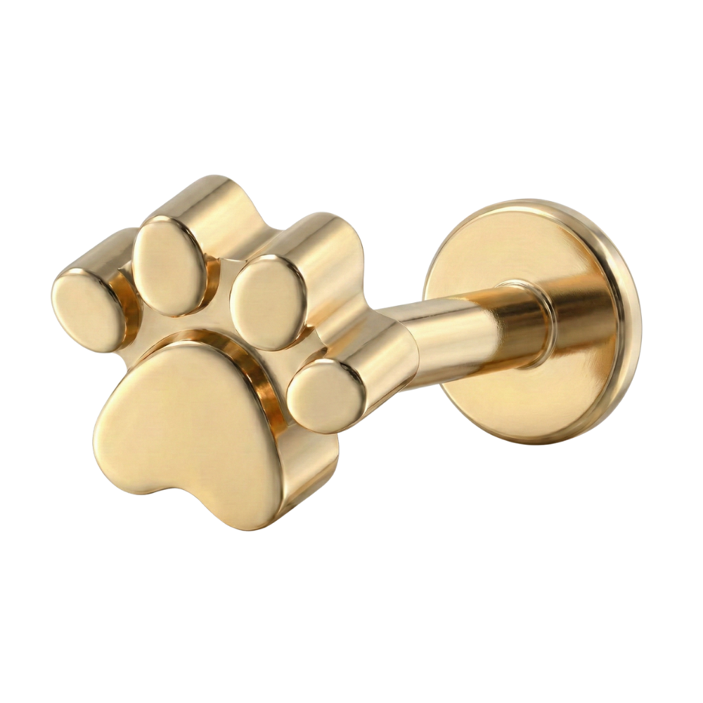 Titanový dekorativní labret - tlapka