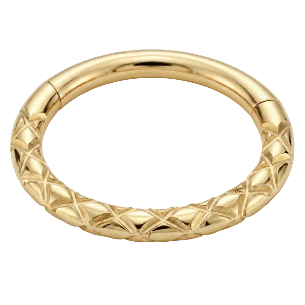 Titanium Segmented Clicker Textured Rim - Circle - Piercing Planet