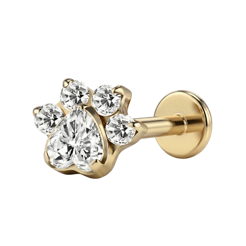 Tytanowy Labret Ozdobny - Łapa Z Cyrkoniami