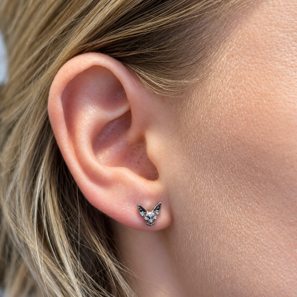 Labret Sphynx - kočka prezentovaná na modelu