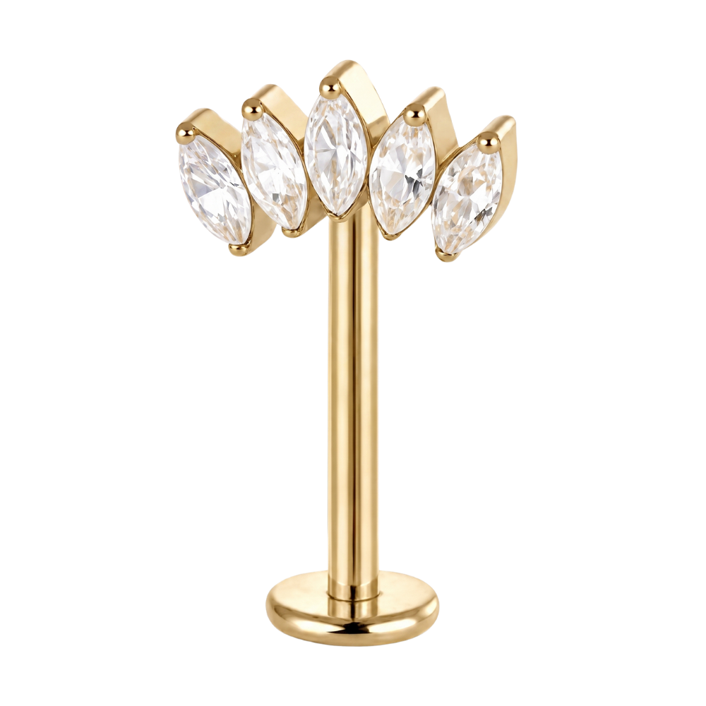 Tytanowy Labret Ozdobny do Vertical Helix 5 Listkow Cyrkonii Zloty
