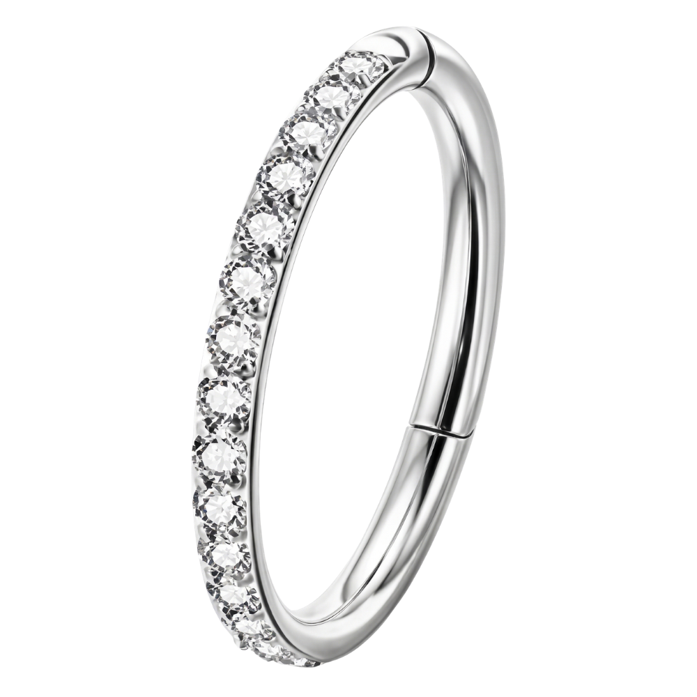 Steel Segment Clicker With Zircons - Circle